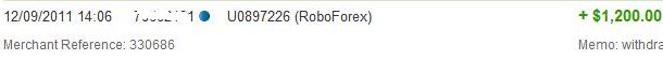 robo12.9.jpg